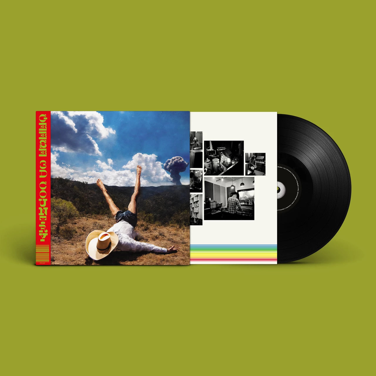Geese - 3D Country LP