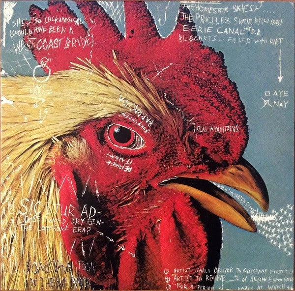 Pavement - Watery, Domestic reissue LP