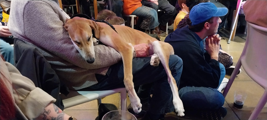 REVIEW: Kashmir Fringe Day One - 7.2.26