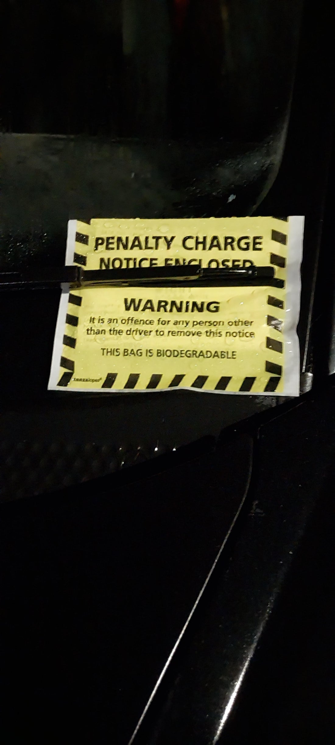 REVIEW: Kashmir Fringe Day Two - 8.2.26