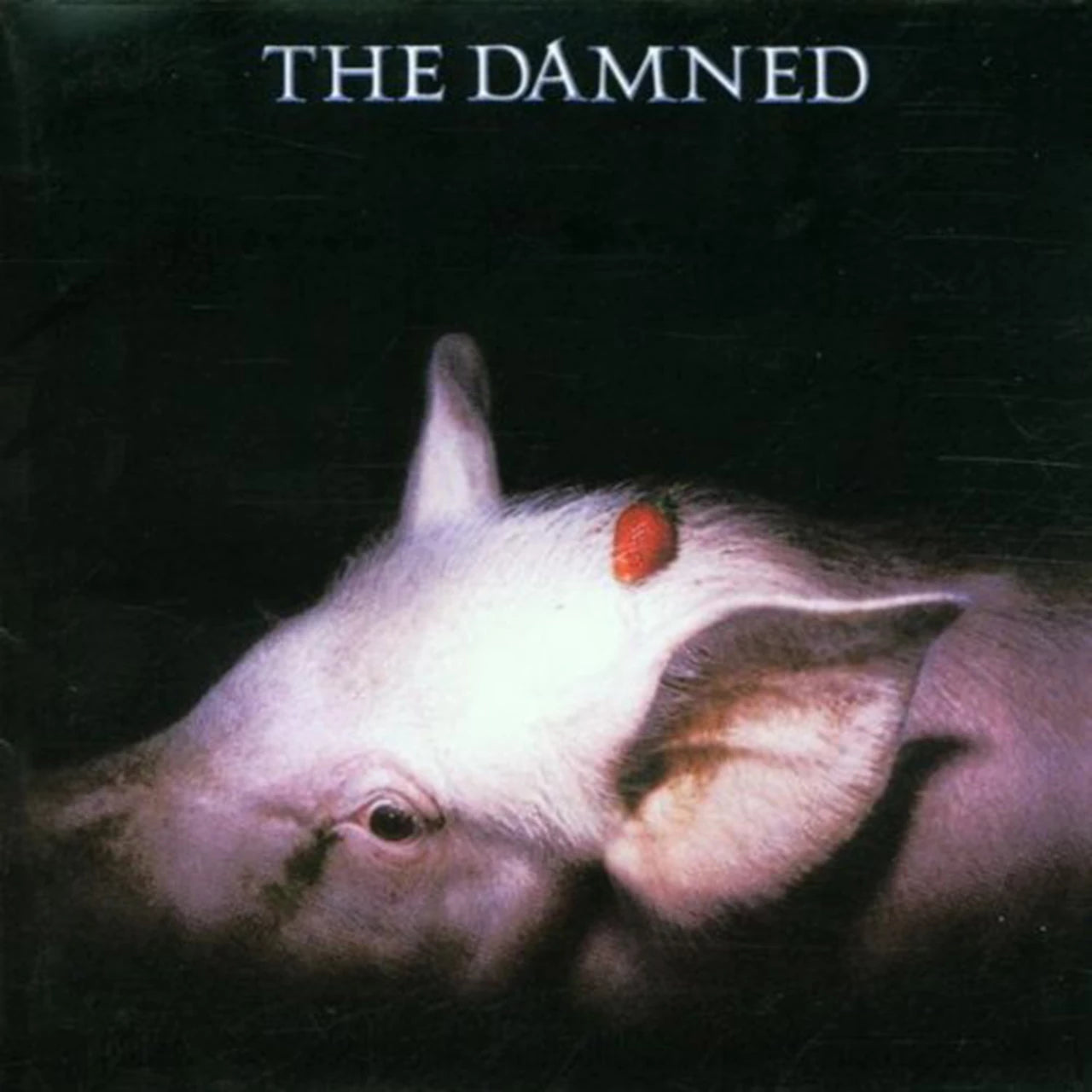 Damned - Strawberries - LP