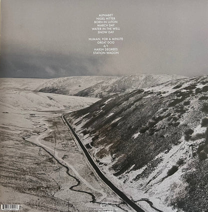 Reverse of album
