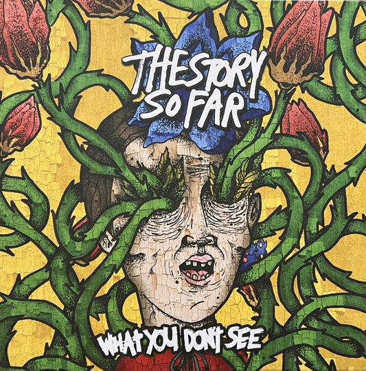 The Story So Far - What You Don't See